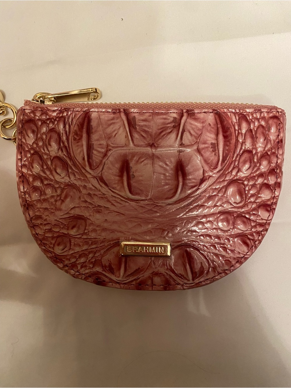 Brahmin Britte